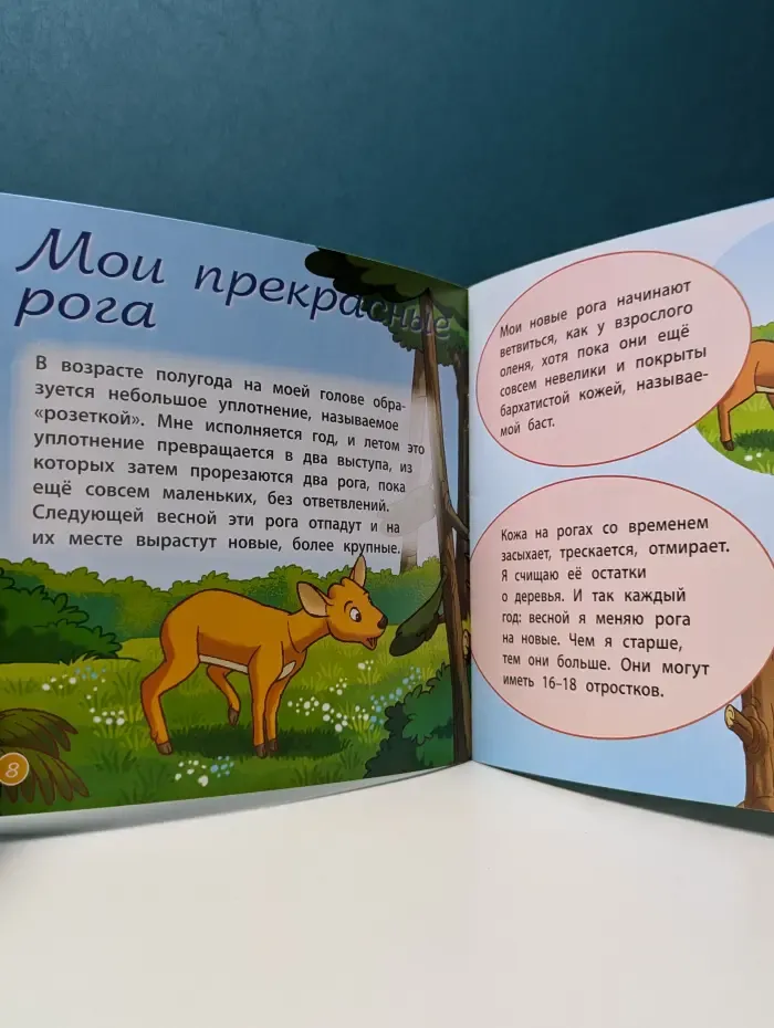Животные леса. Выпуск № 1/2014. Олень