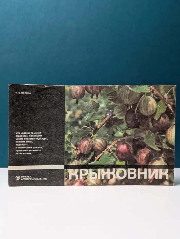 Крыжовник