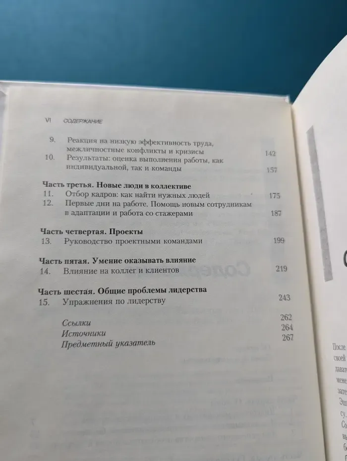Лидерство в сфере профессиональных услуг