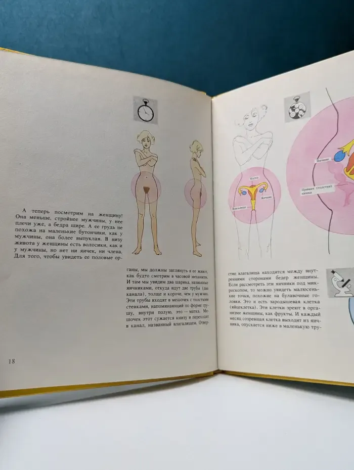 Энциклопедия сексуальной жизни. Физиология и психология