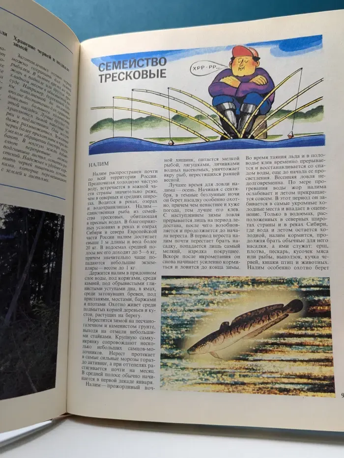 Ловись, рыбка!
