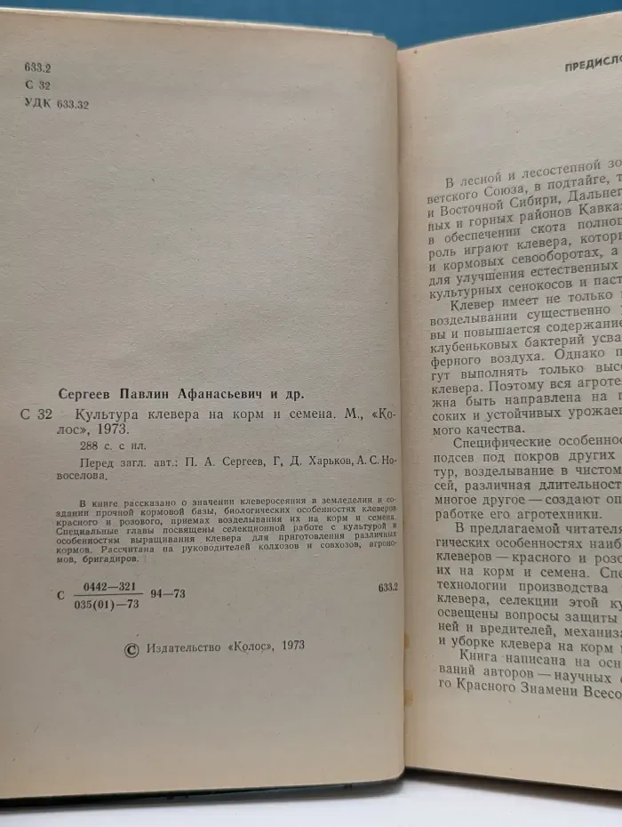 Культура клевера на корм и семена