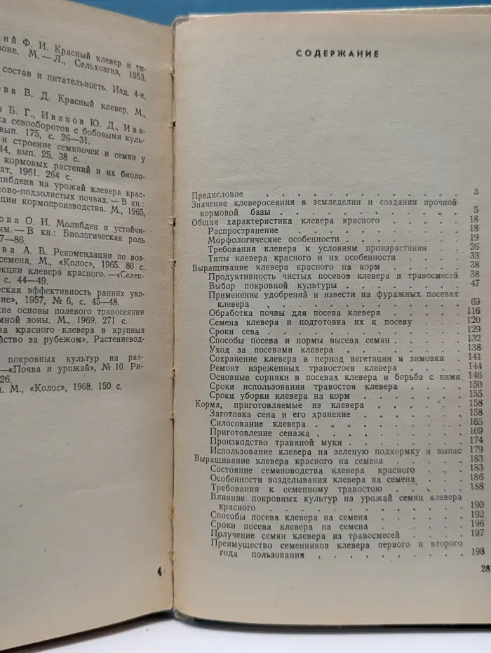 Культура клевера на корм и семена