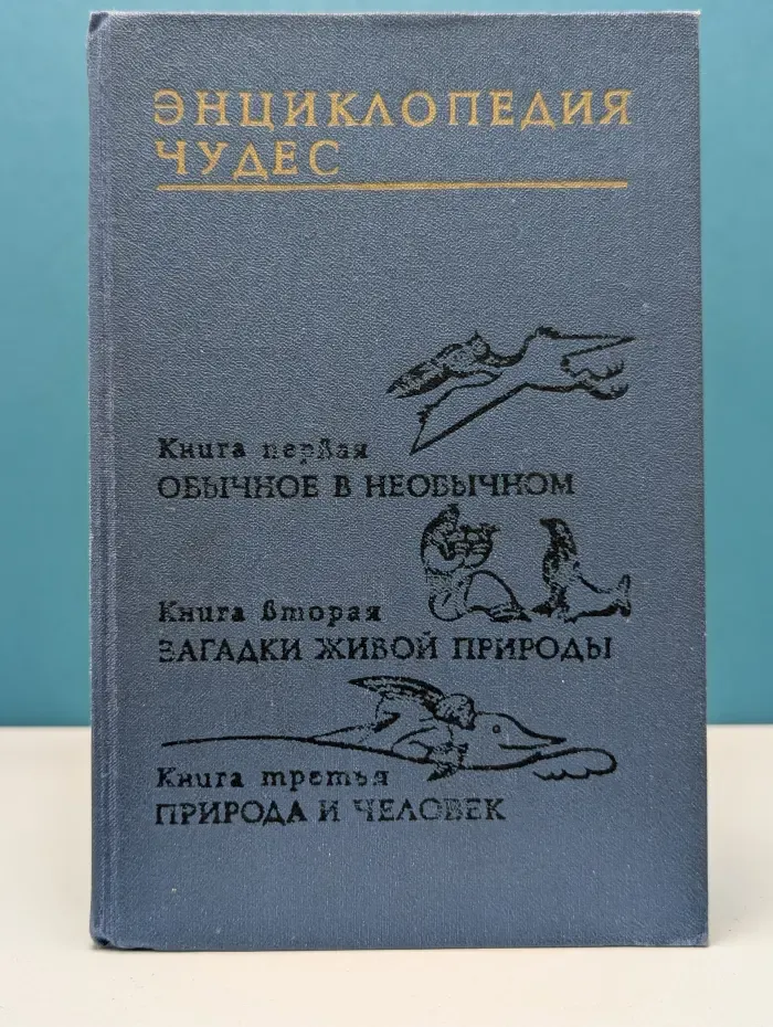 Энциклопедия чудес