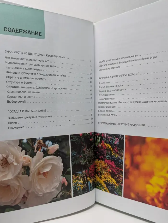 Наш сад. Цветущие кустарники