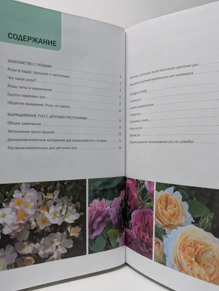 Наш сад. Розы. Иллюстрированный справочник
