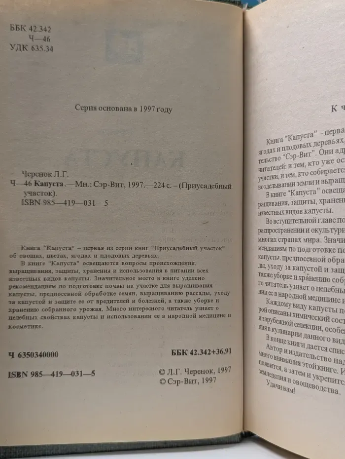 Приусадебный участок. Капуста