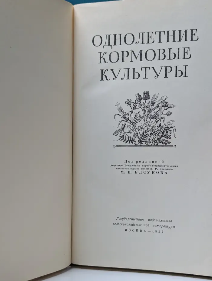 Однолетние кормовые культуры