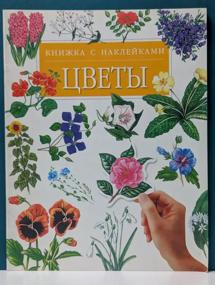 Цветы
