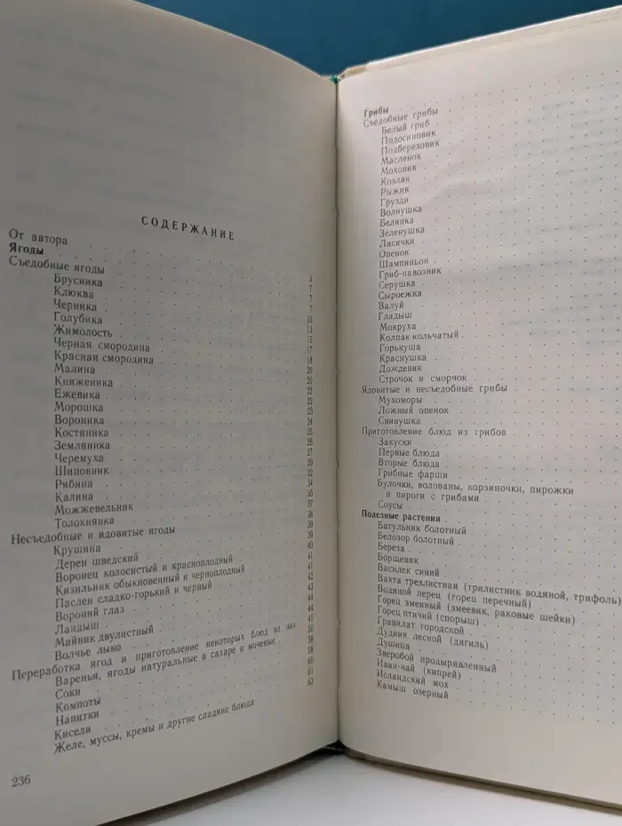 Лесное лукошко
