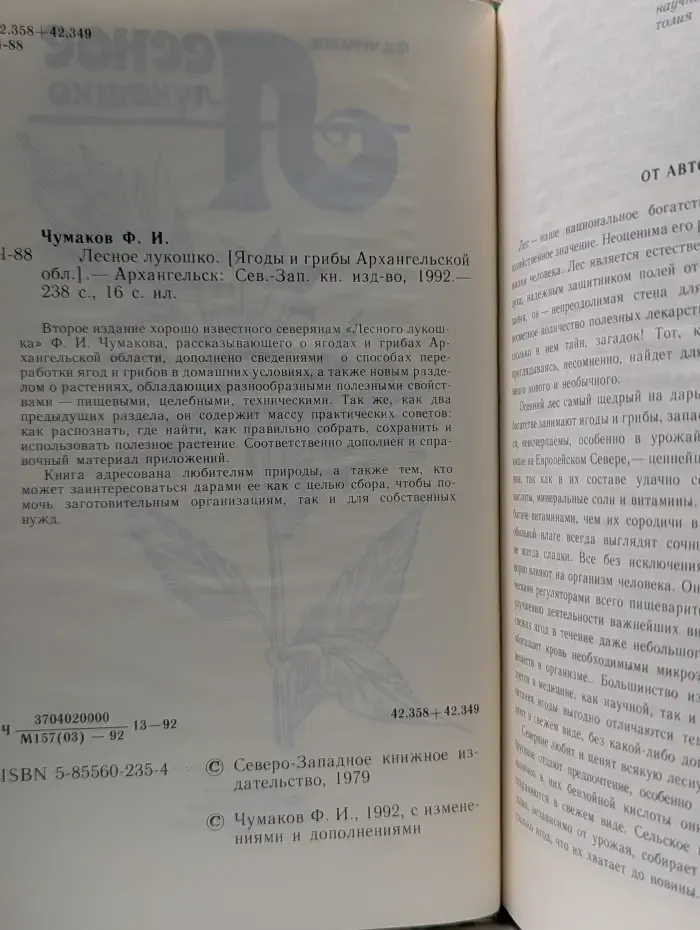Лесное лукошко