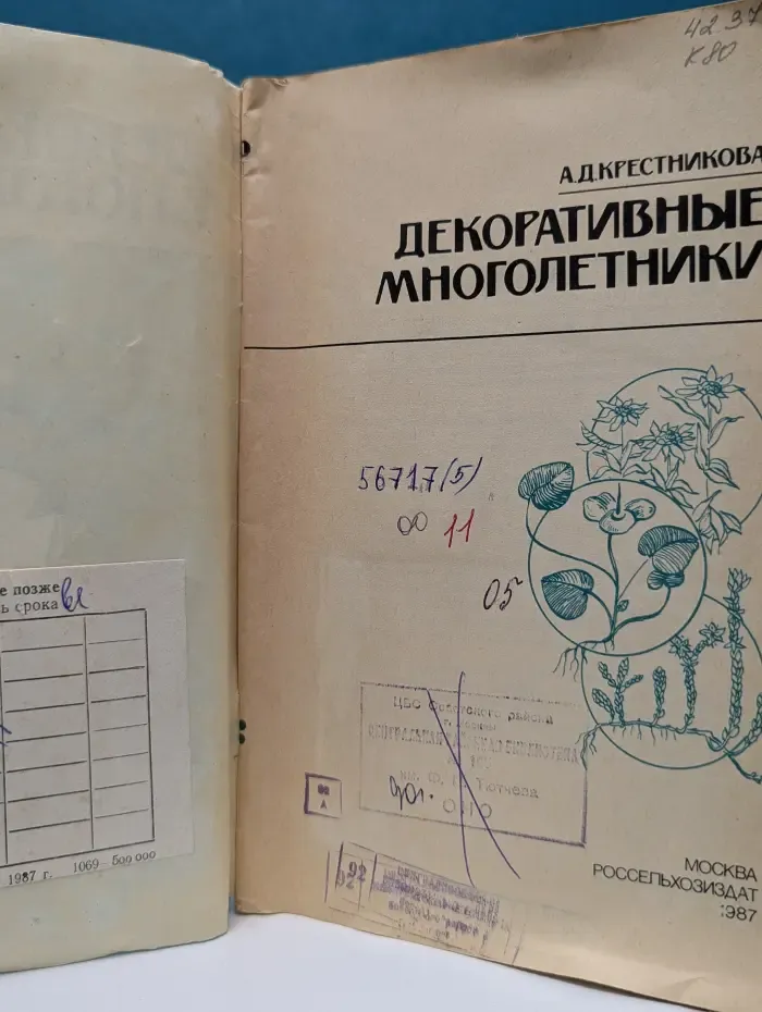 Декоративные многолетники