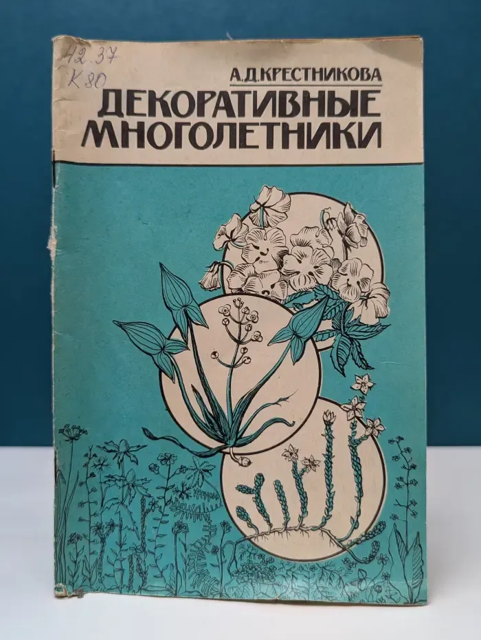 Декоративные многолетники