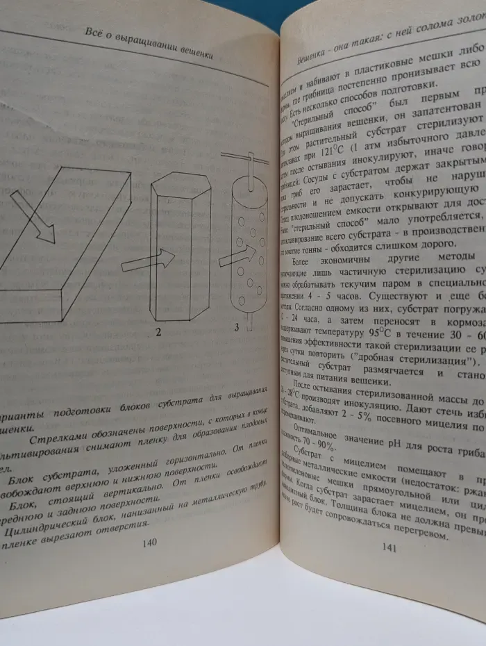 Как вырастить грибы. Грибной огород - и здоровье, и доход