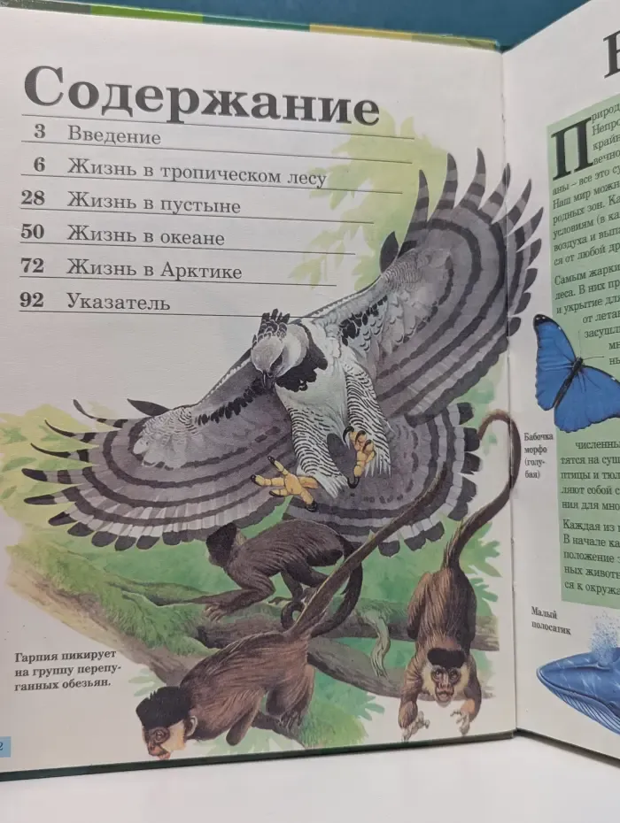Детская энциклопедия. Мир диких животных