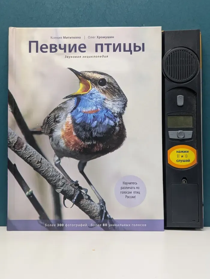 Певчие птицы