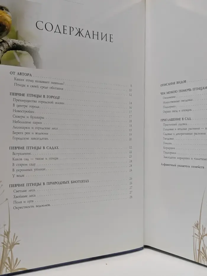Певчие птицы