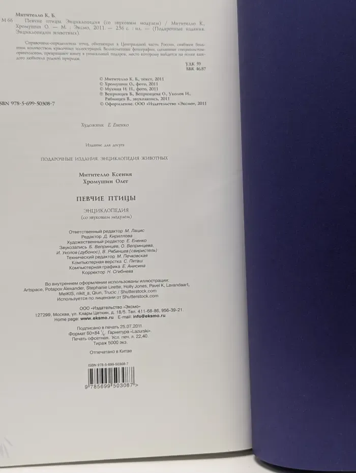 Певчие птицы