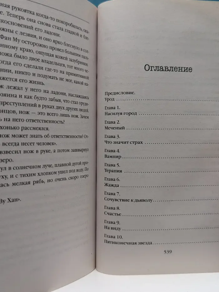 Tok. Иямису-триллер о профайлерах и маньяках. Профайлер