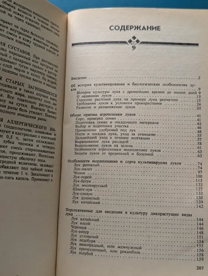 Лук и чеснок на приусадебном участке