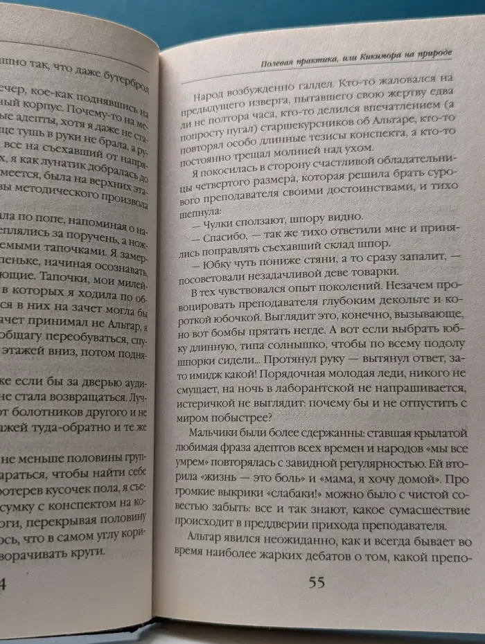Академия Магии. Полевая практика, или Кикимора на природе