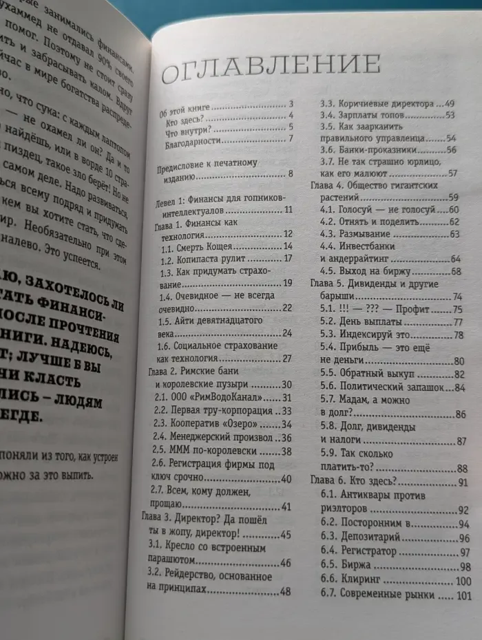 Звезда Рунета. Бизнес. Хулиганская экономика