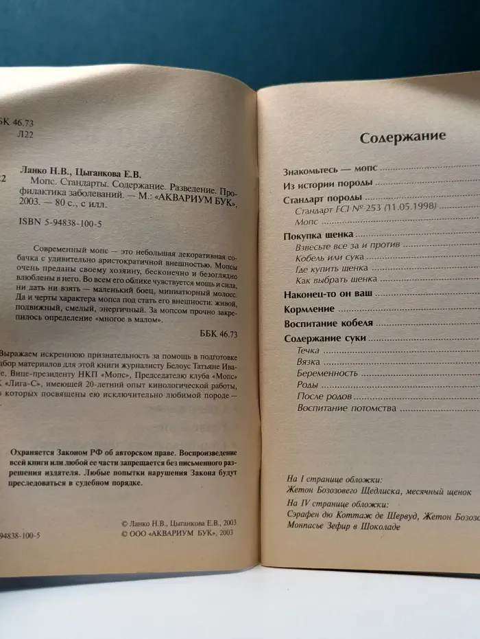 Домашние любимцы. Мопс
