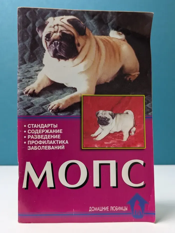 Домашние любимцы. Мопс