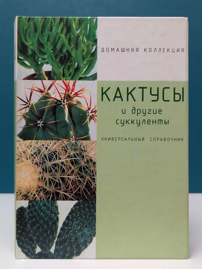 Кактусы и другие суккуленты