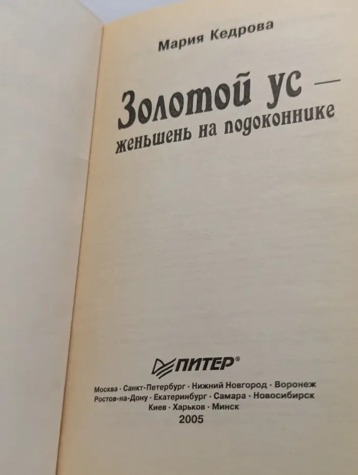 Золотой ус — женьшень на подоконнике