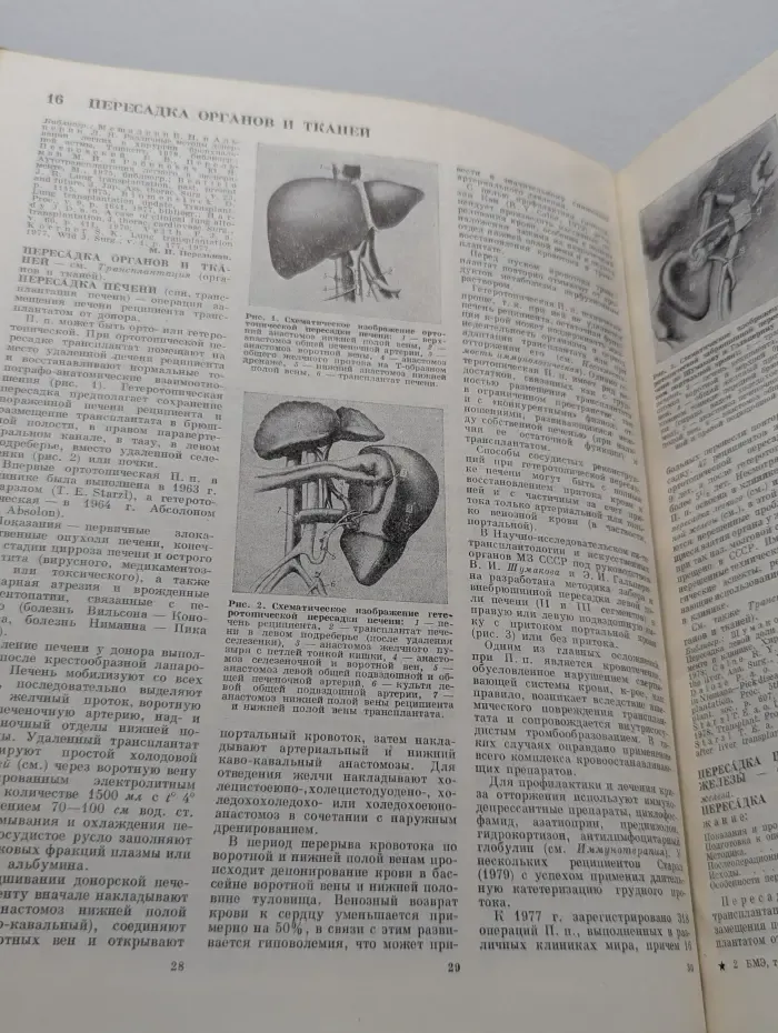 Большая медицинская энциклопедия. Том 19
