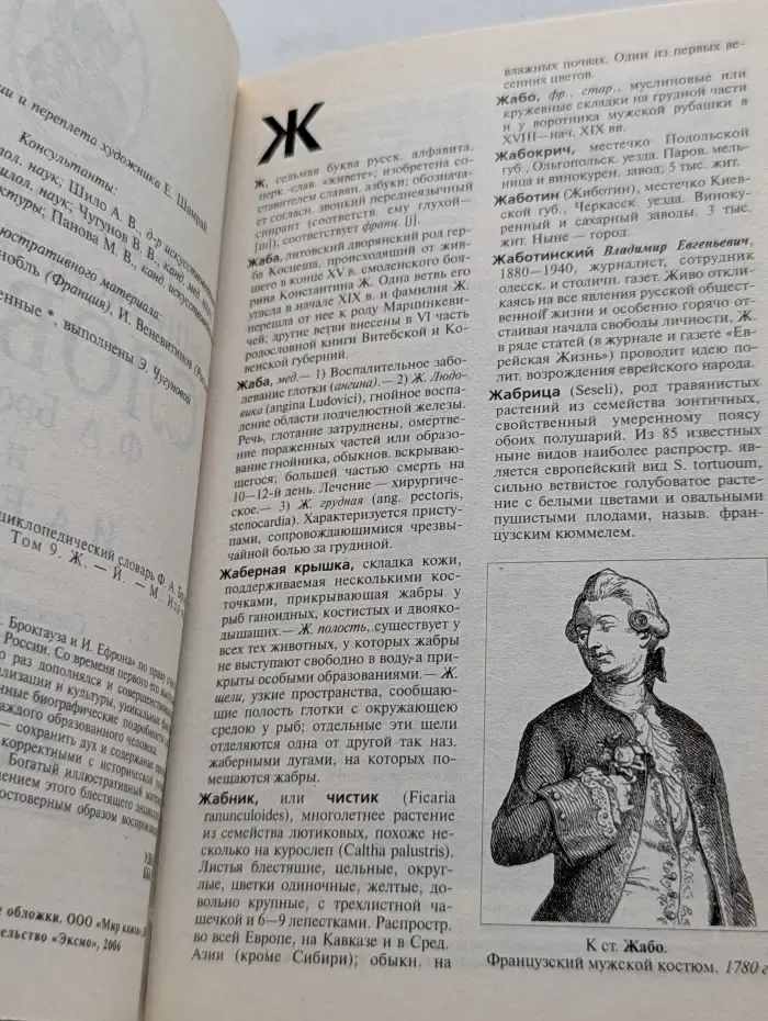 Иллюстрированный энциклопедический словарь Ф. Брокгауза и И. Ефрона. Том 9. Ж - Й