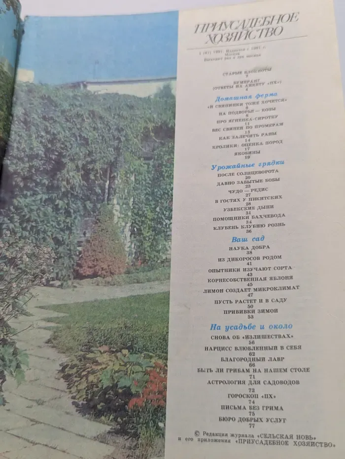 Приусадебное хозяйство. Выпуск № 1/1991
