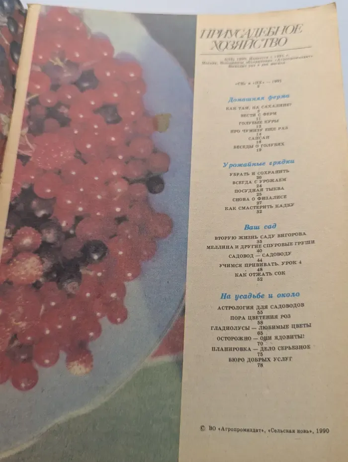 Приусадебное хозяйство. Выпуск № 4/1990