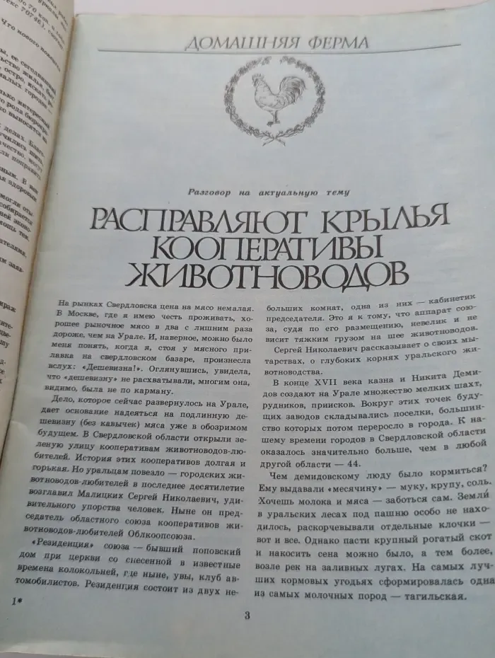 Приусадебное хозяйство. Выпуск № 5/1990