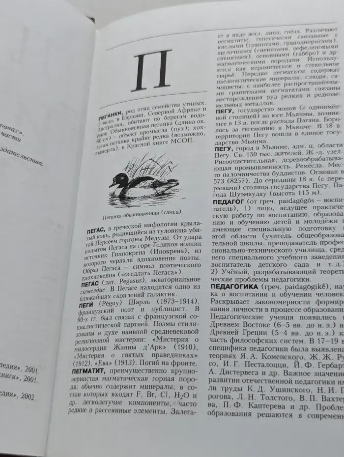 Новая иллюстрированная энциклопедия. Том 14. Пе-Пр