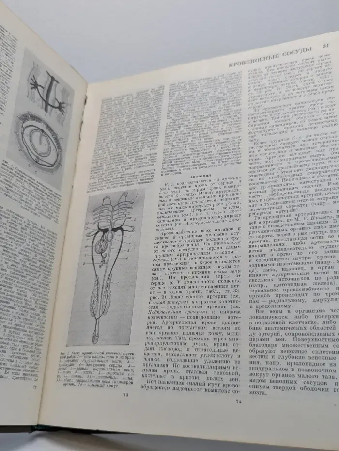 Большая медицинская энциклопедия. В 30 томах. Том 12. Криохирургия — Ленегр
