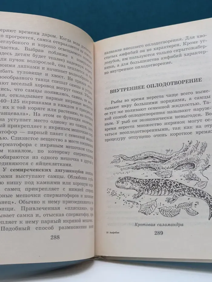 Я познаю мир. Амфибии