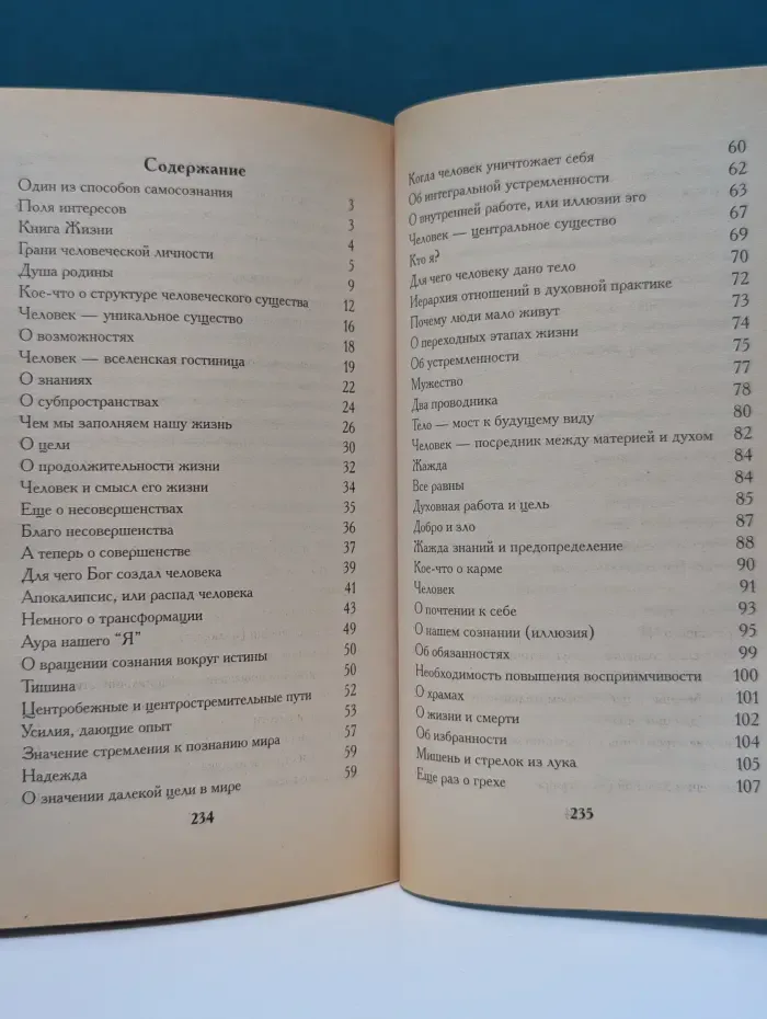Внутренний путь. На пороге бессмертия