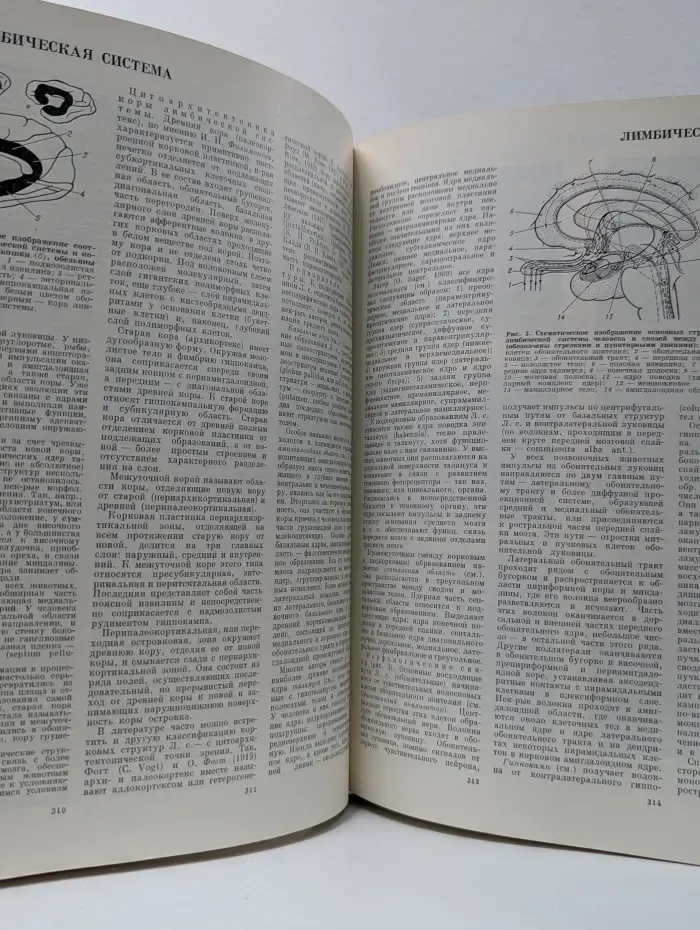 Большая медицинская энциклопедия. В 30 томах. Том 13. Ленин и здравоохранение - Мединал
