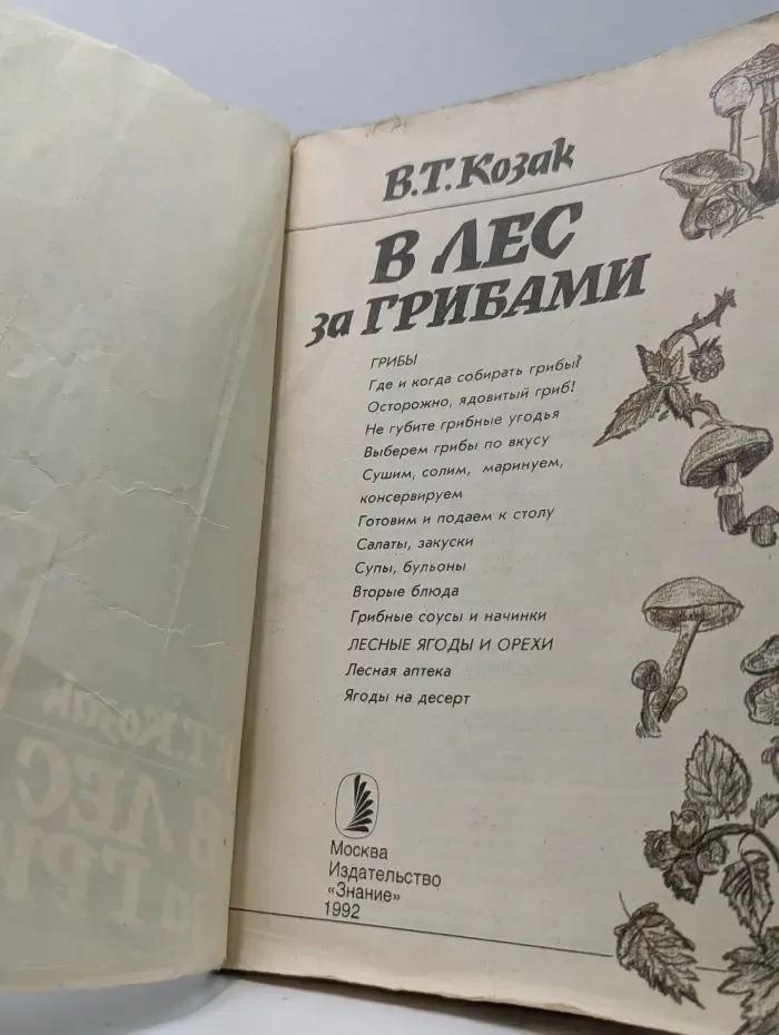 В лес за грибами
