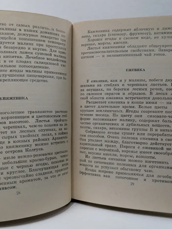 Лесное лукошко. Ягоды и грибы Архангельской области