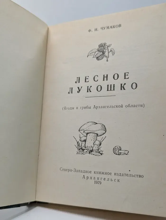 Лесное лукошко. Ягоды и грибы Архангельской области