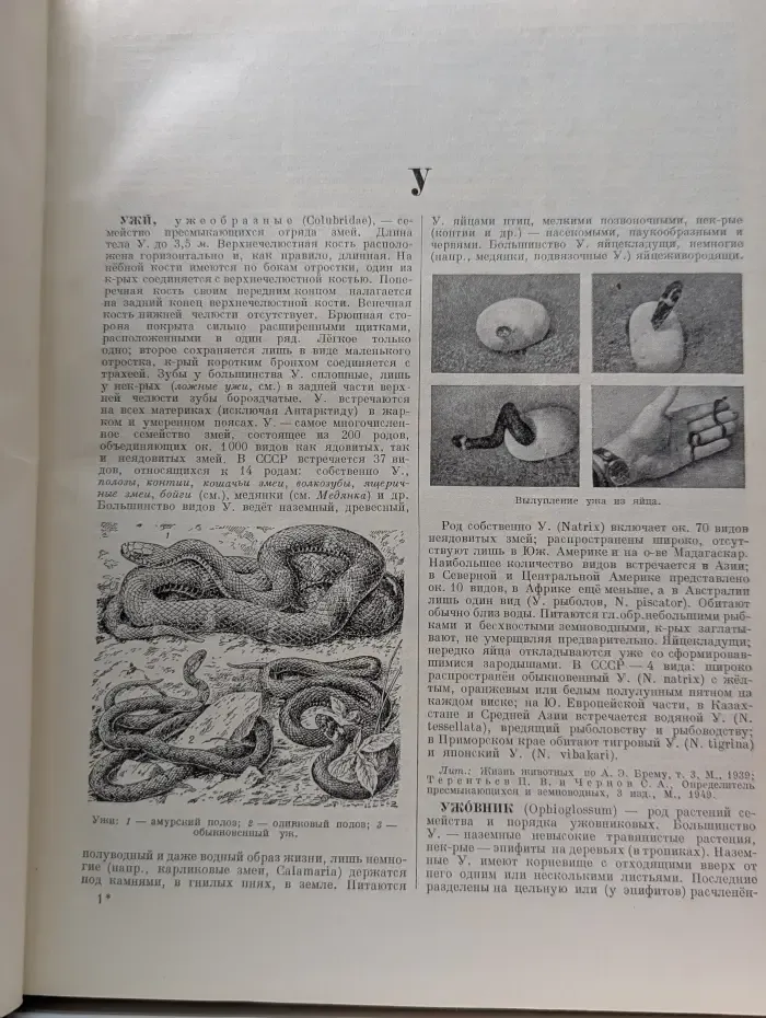 Большая Советская Энциклопедия. Том 44