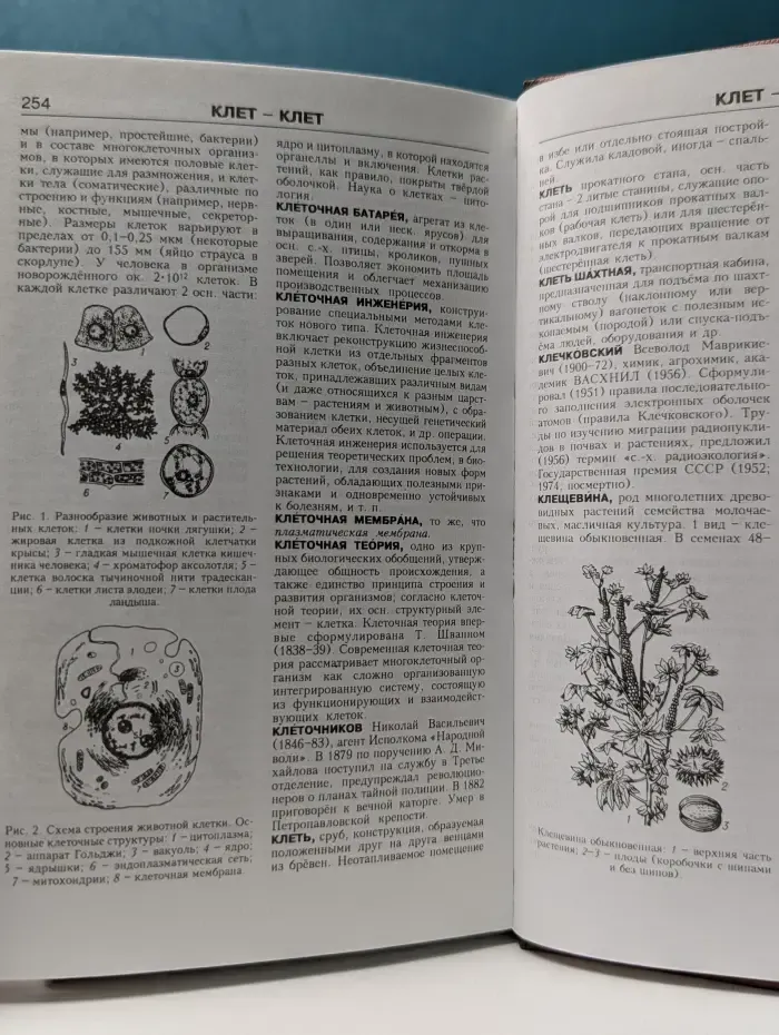 Новая иллюстрированная энциклопедия. В 20 томах. Том 8. Ит - Кл