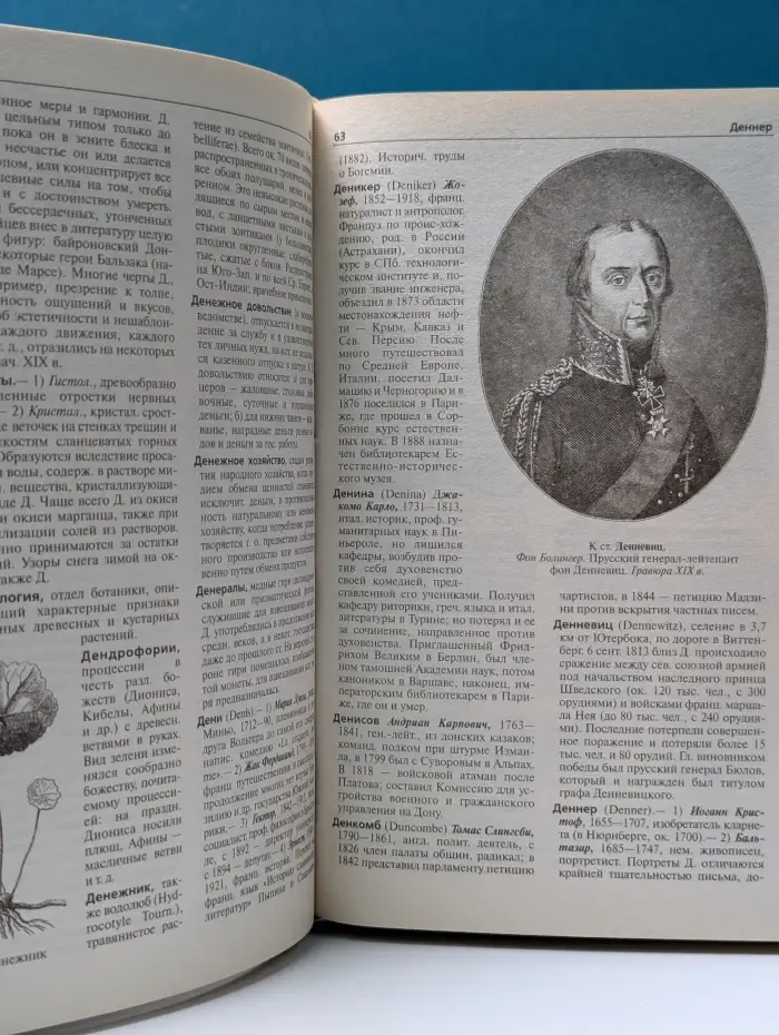 Иллюстрированный энциклопедический словарь Ф. А. Брокгауза и И. А. Ефрона. Том 8. Д—Е