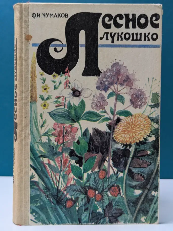 Лесное лукошко. Ягоды и грибы Архангельской области