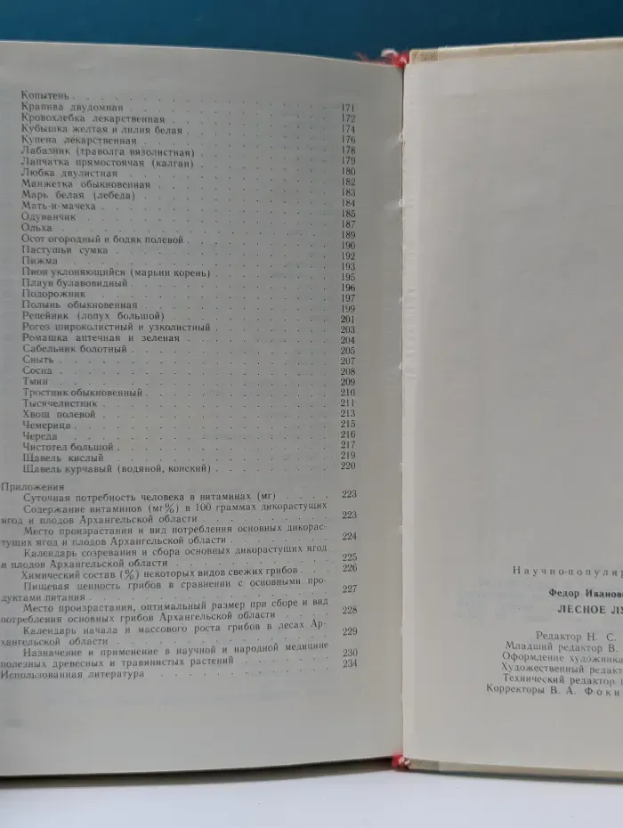 Лесное лукошко. Ягоды и грибы Архангельской области