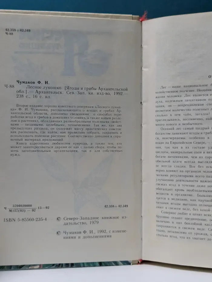 Лесное лукошко. Ягоды и грибы Архангельской области