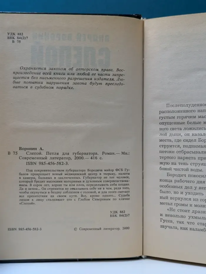 Слепой. Петля для губернатора